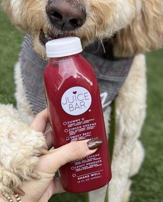 Even dog love our Sweet Beet!