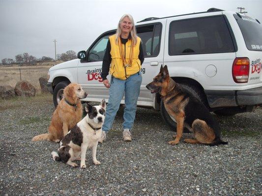 Brainy Dog Behavior Training