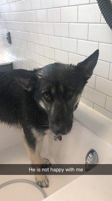 He doesn't like baths but this place made it so easy to get the job done.