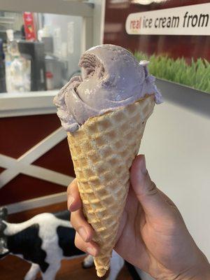 Blackberry ice cream w/ waffle cone