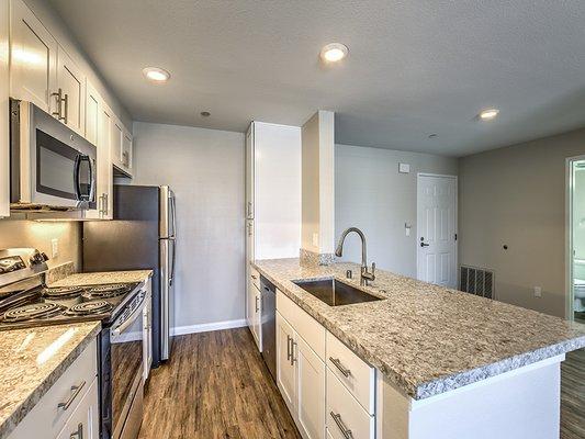 Renovated Kitchen Unit