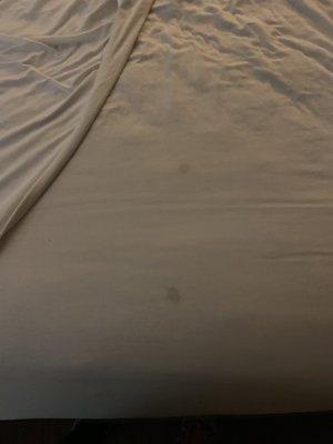 Some of the stains on the sheets again