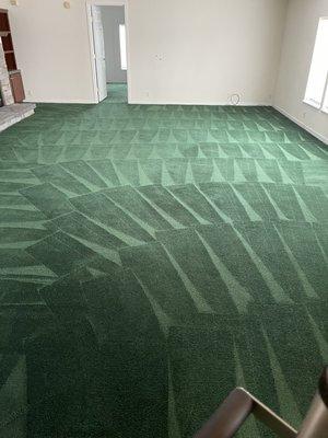 Carpet Cleaning