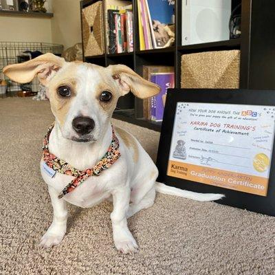 our puppy kindergarten graduate!