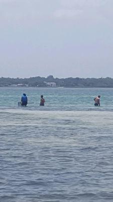 My family on the sand bar looking for shells.