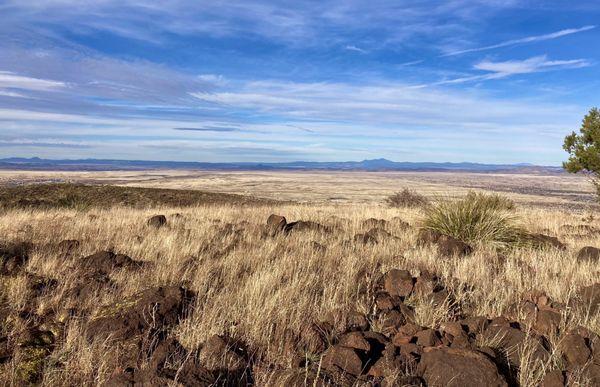 View from top in December