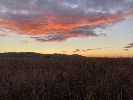 Beautiful Sunset on evening bike ride