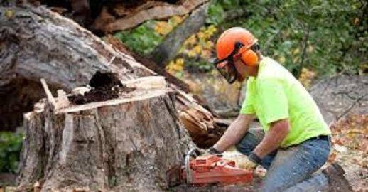 Stump Grinding Iowa