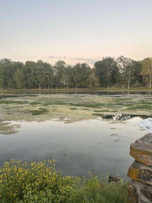 Mammoth Spring view