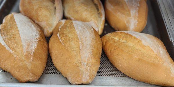 Bolillos
 (french bread)