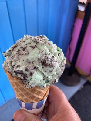 Mint Chocolate Chip