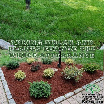 Customer wanted to change the appearance of their walkway, added mulch and plants.#lawncare #westchester #whiteplains #mulch