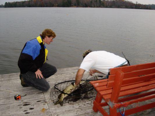 Muskie caught right from the pier