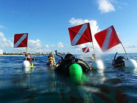 Scuba Diving Miami Beach.