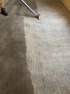 Revive Carpet Cleaning