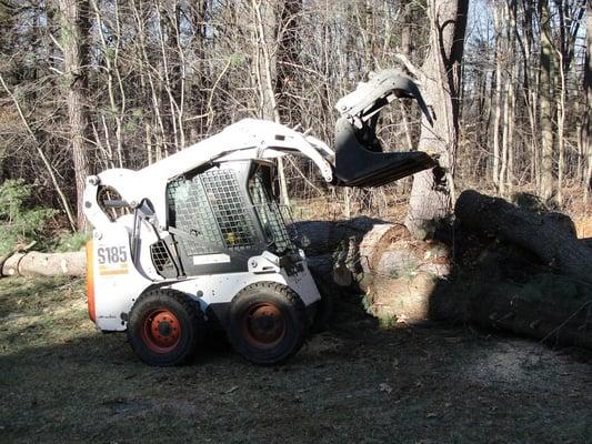 Bobcat for Residential Tree Work.