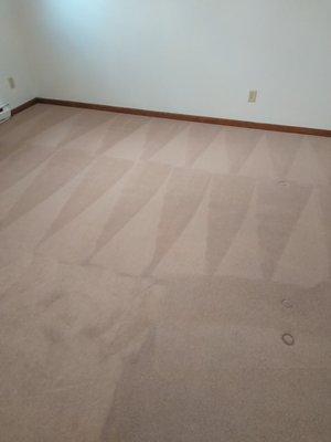 Carpet&Upholstery cleaning