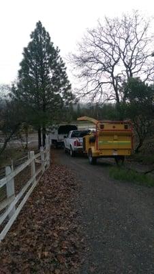 The crew at NorCal did a great job.  Nice, clean equipment.  The chipper does a great job.