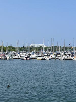 Beautiful marina, plenty of boat slips!