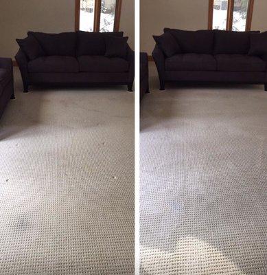 Carpet cleaning