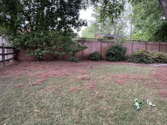 Pinestraw all over grass!