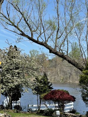 Lakeside view