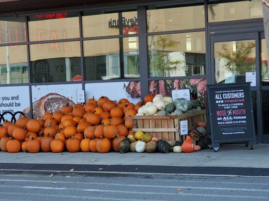 Pumpkin season