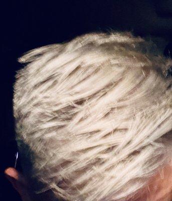 Platinum Asian bleach hair from pitch black well done!