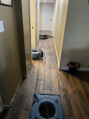 Water damage dryout