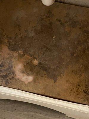 Water damage underneath sink from move in