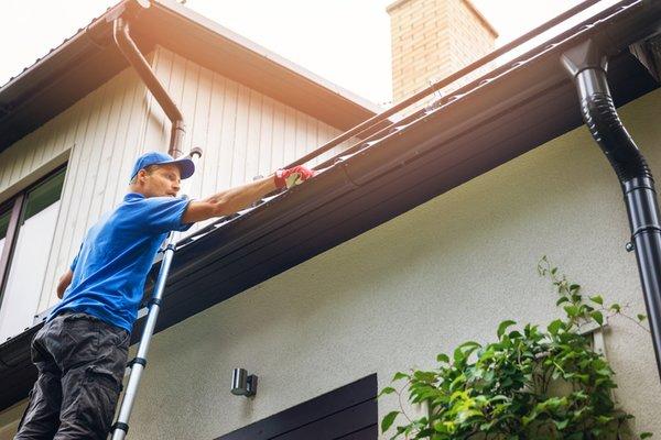 Gutter cleaning, downspout extensions, landscape drainage and french drains.