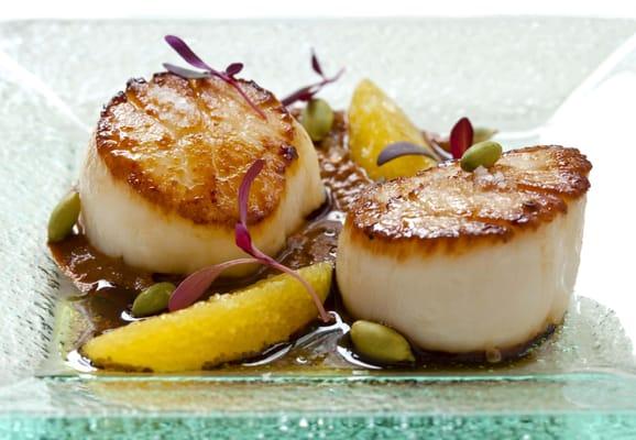 Scallops