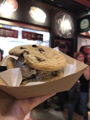 Chocolate chip cookie with s'mores ice cream!