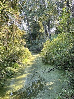 Columbia Children's Arboretum