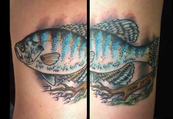 Fish by Jers