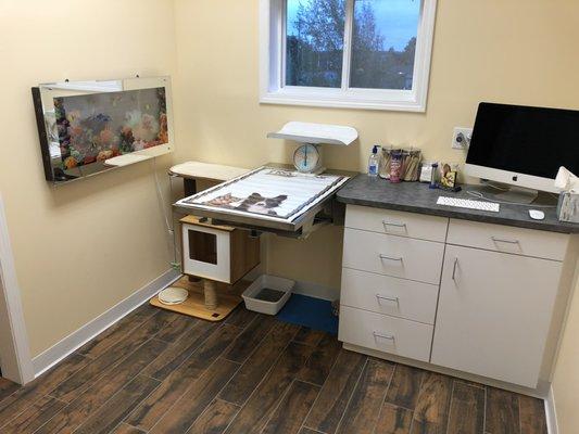 Cat exam room