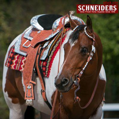 Find Billy Royal western tack from Schneider Saddlery at sstack.com!