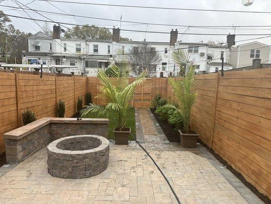 Redesigned backyard garden with new lawn, palms, holly skypencil, and fire pit!