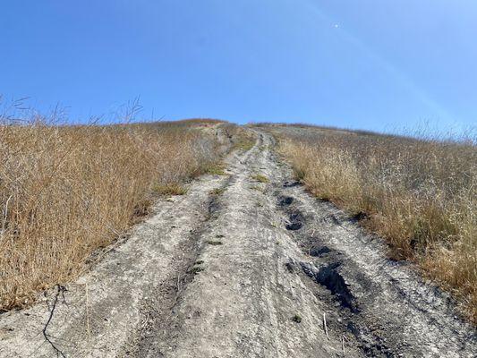 Climbing up Ontario Ridge