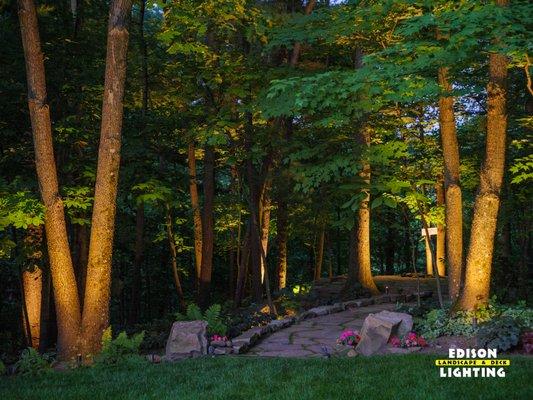 Uplighting on a tree-lined path