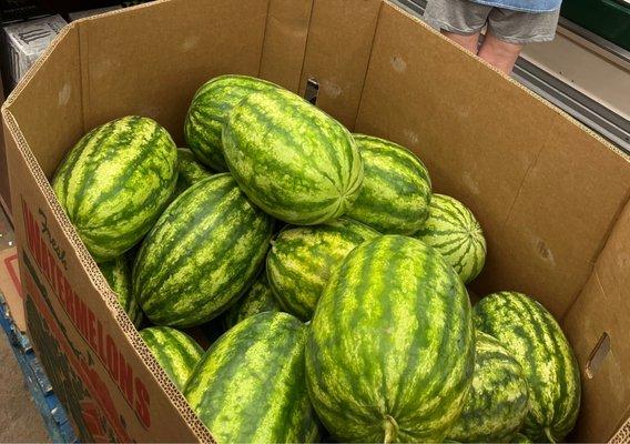 Watermelons