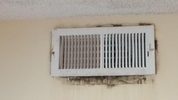 Mold around vent