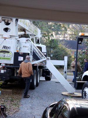 Chestang Tree Service