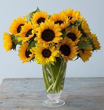 Sunflowers