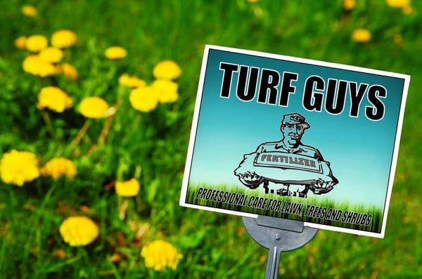 Turf Guys gives honest advice and top quality service.