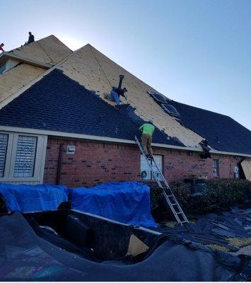 Roof Replacement