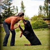 Rottweiler kisses