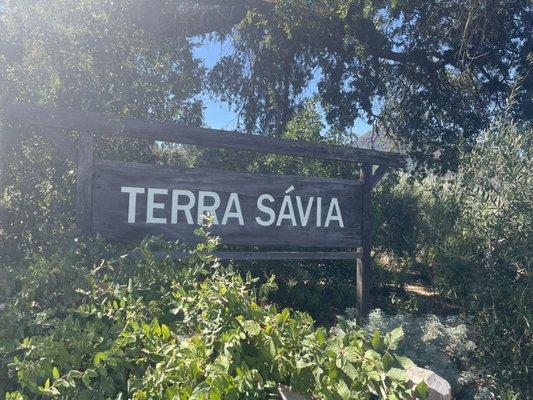 Terra Savia Winery and Olive Oil, Hopland, CA - September 20, 2024