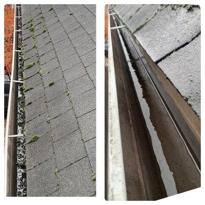 Gutter clean and downspout check