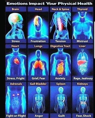 The benefits of Reiki healing and TeraHertz Frequency allow me to assist in your recovery and relaxation.